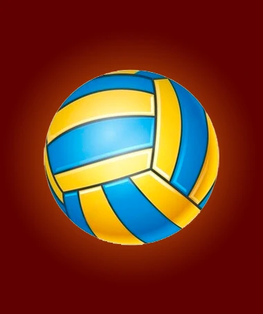 voleibol